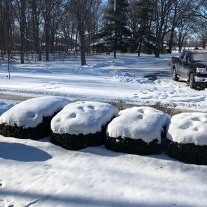 Meet your Posher, Dana